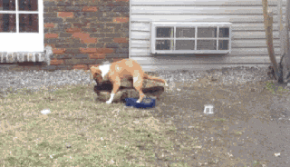 f8fb4735adbd70b72082ab5171d76cd3.gif
